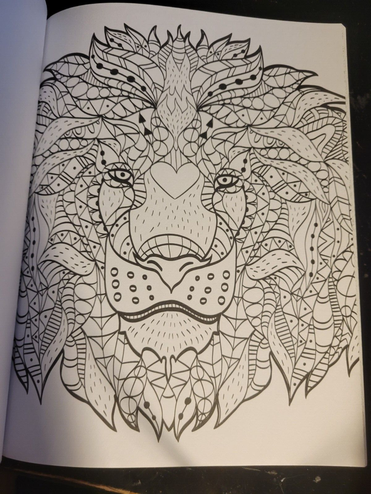 MAGNIFICENT CREATURES Vol 13 Adult Coloring Book by TOPIX MEDIA – 47 PRINTS