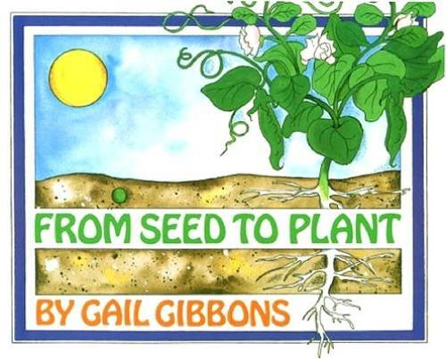 From Seed to Plant – Paperback By Gibbons, Gail – GOOD