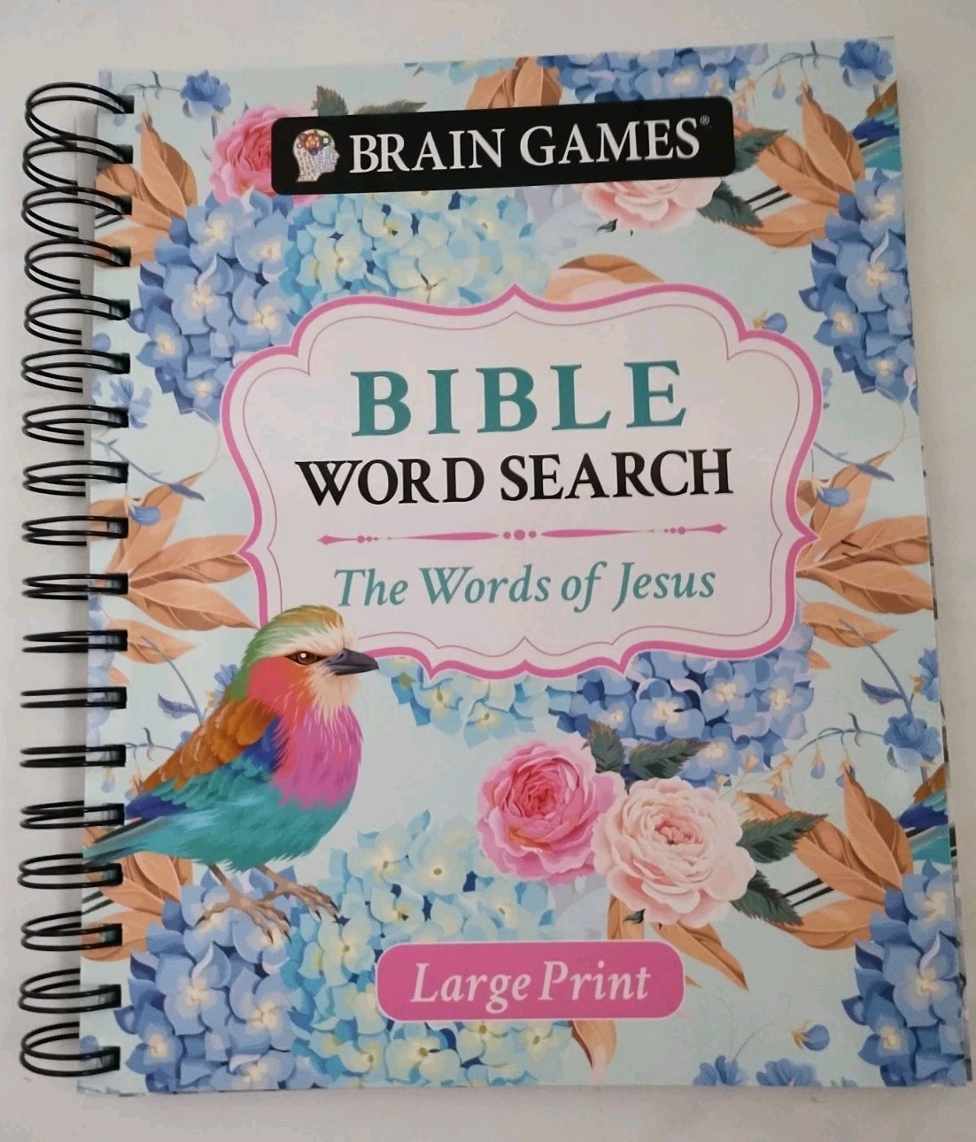 Bible Word Search: The Words of Jesus Large Print Christian Religion Religious