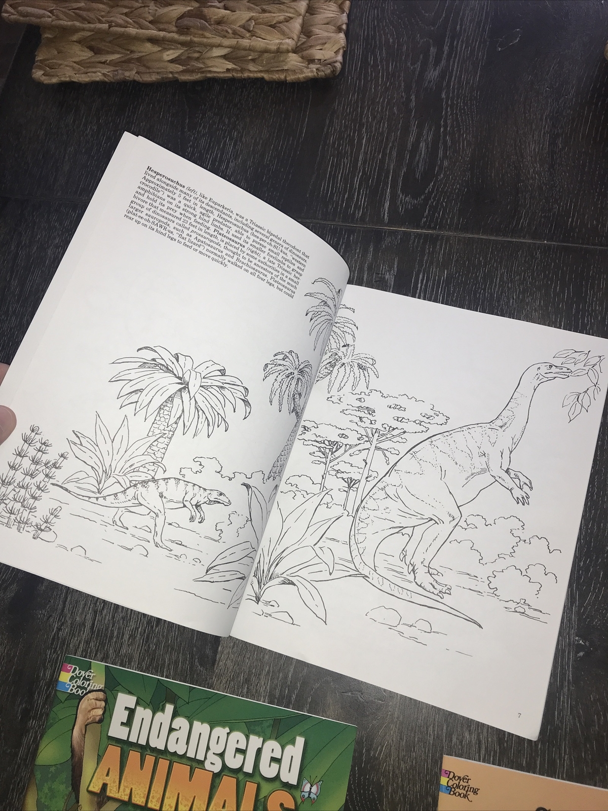 3 NEW DOVER COLORING BOOKS Days Of The Dinosaur, Endangered Animals & Civil War
