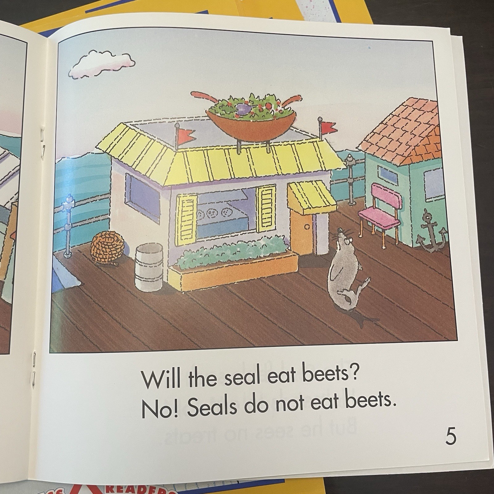 Phonics Readers Long Vowels SET OF TEN different decodeable books