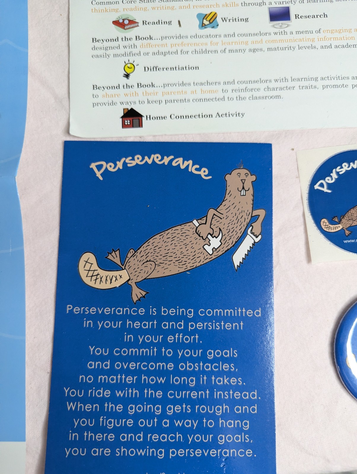 Home School Teachers Cloud 9 world character book PERSEVERANCE 2nd-5th poster