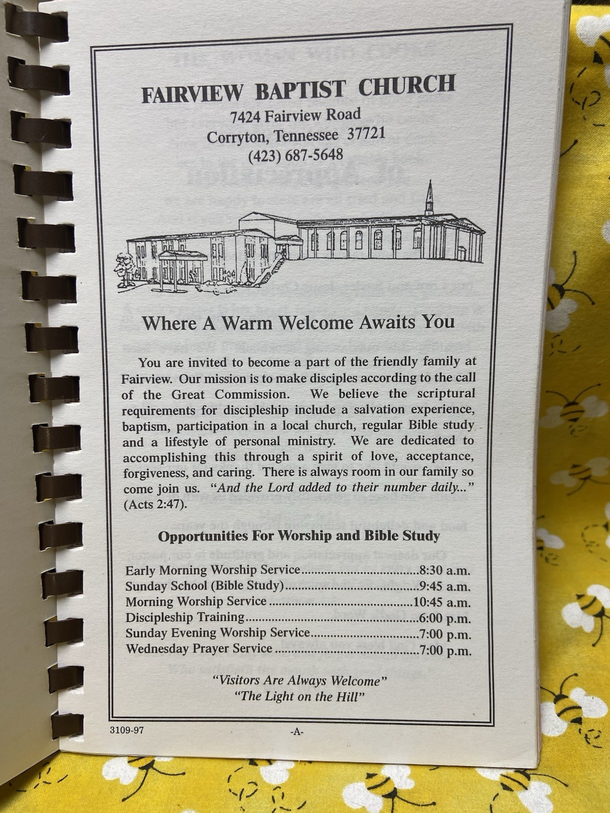 Cherished Recipes:Fairview Baptist Church Cookbook 1996 Grannycore