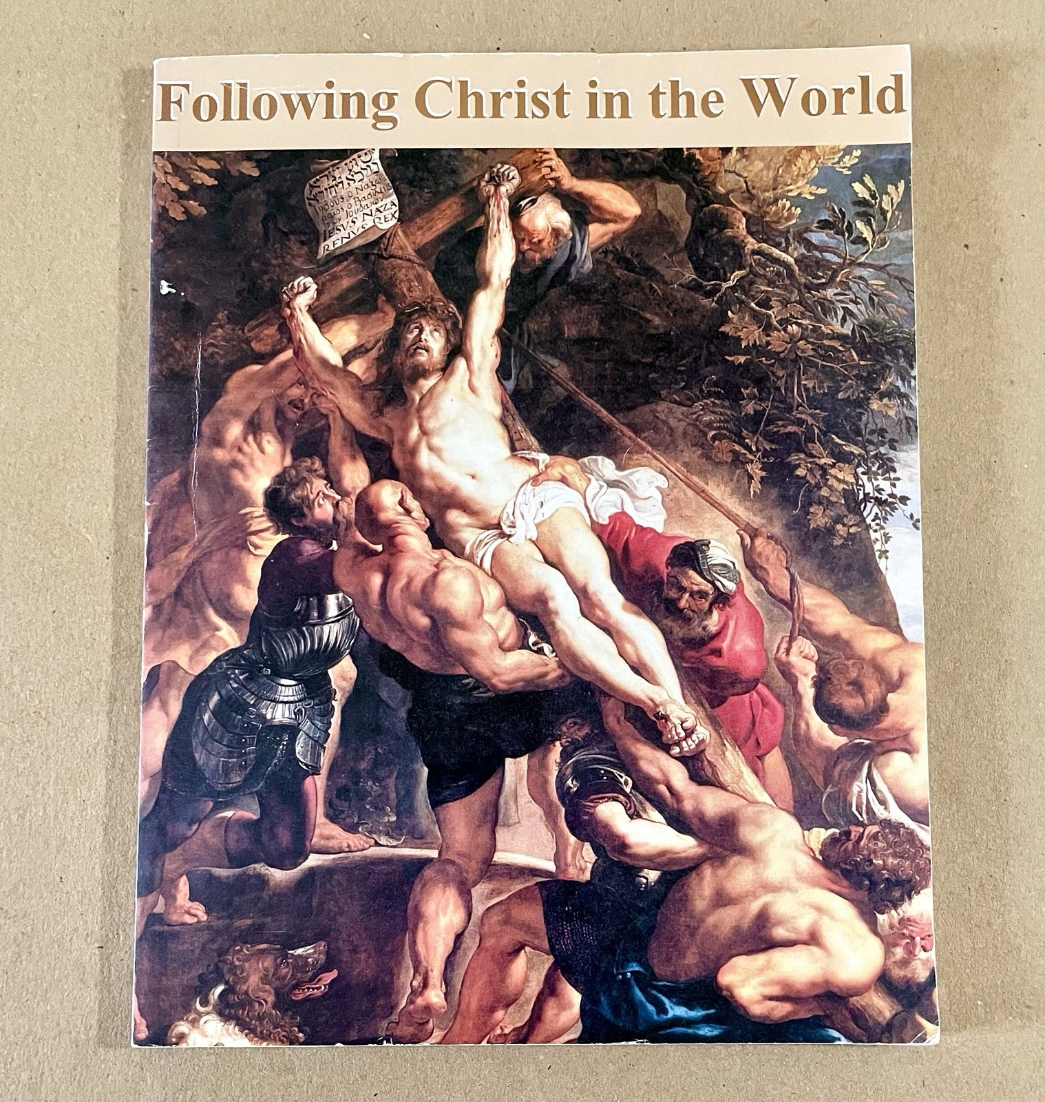 Following Christ in the World, Anne Carroll, Seton Press (2008, PB) Catholic VG!