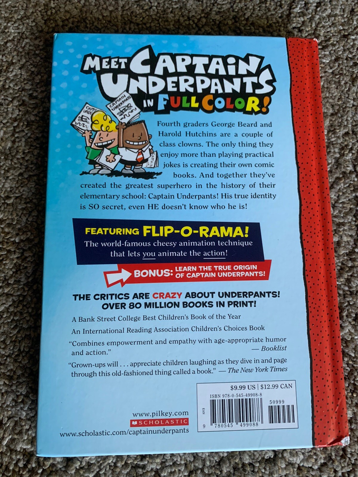 Chapter Books-Wimpy Kid-Dog Man-Cat Kid-Captain Underpants Lot Of 13 HB & PB