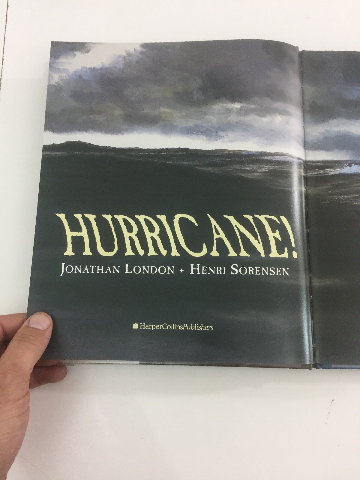 Hurricane! – Jonathan London (1998, Hardcover, Dust Jacket)