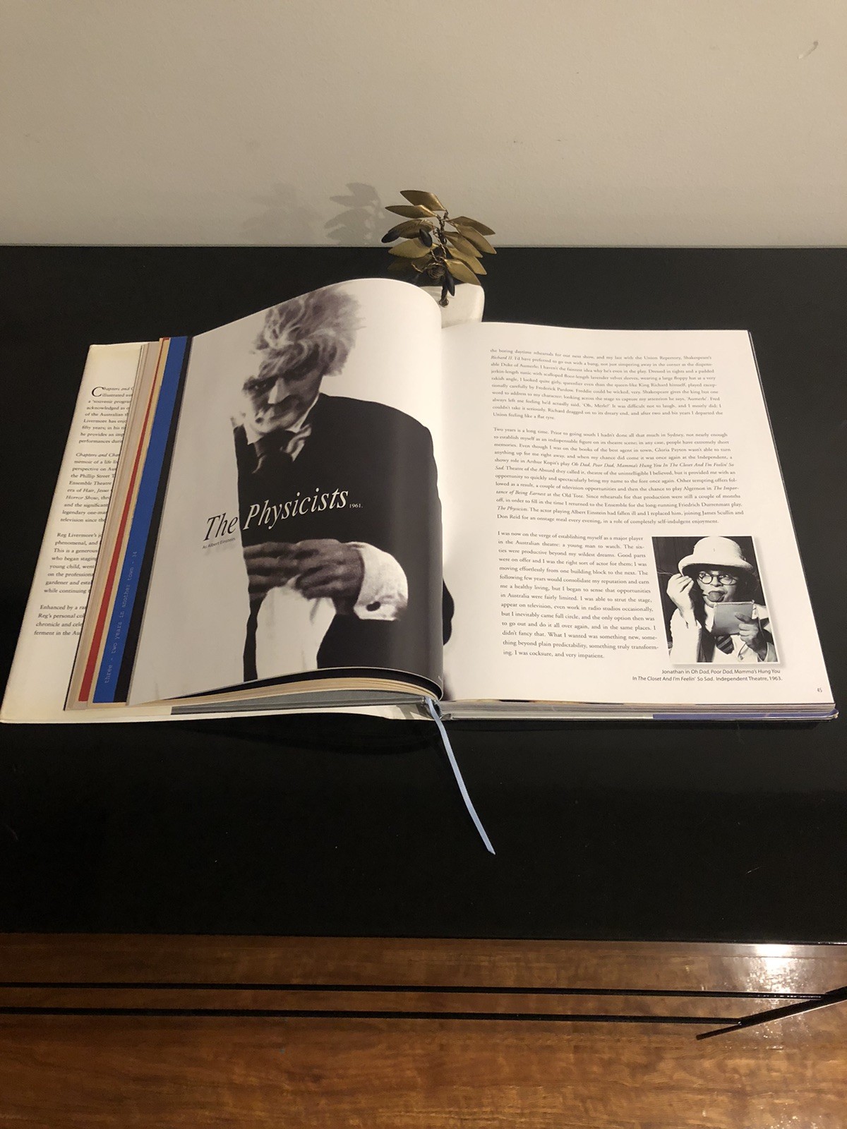 Reg Livermore Chapters And Chances H G B 2003 First Ed/F.Print HC DJ LN 🇦🇺🎭