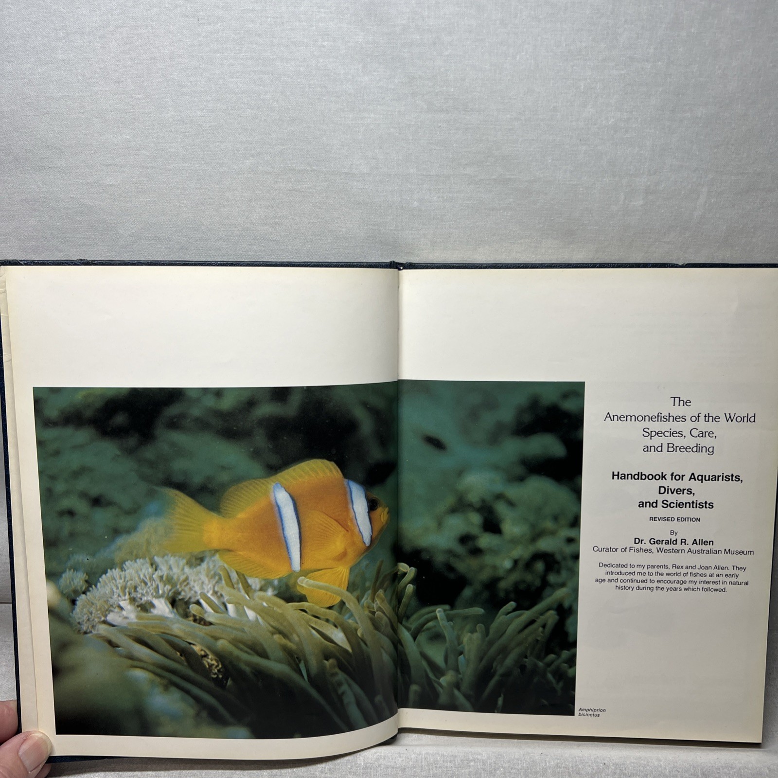 Anemonefishes of the World by Dr. Gerald R Allen Copyright 1980