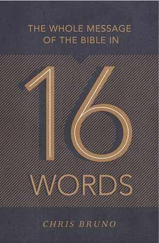 The Whole Message of the Bible in 16 – Paperback, by Bruno Chris – Very Good