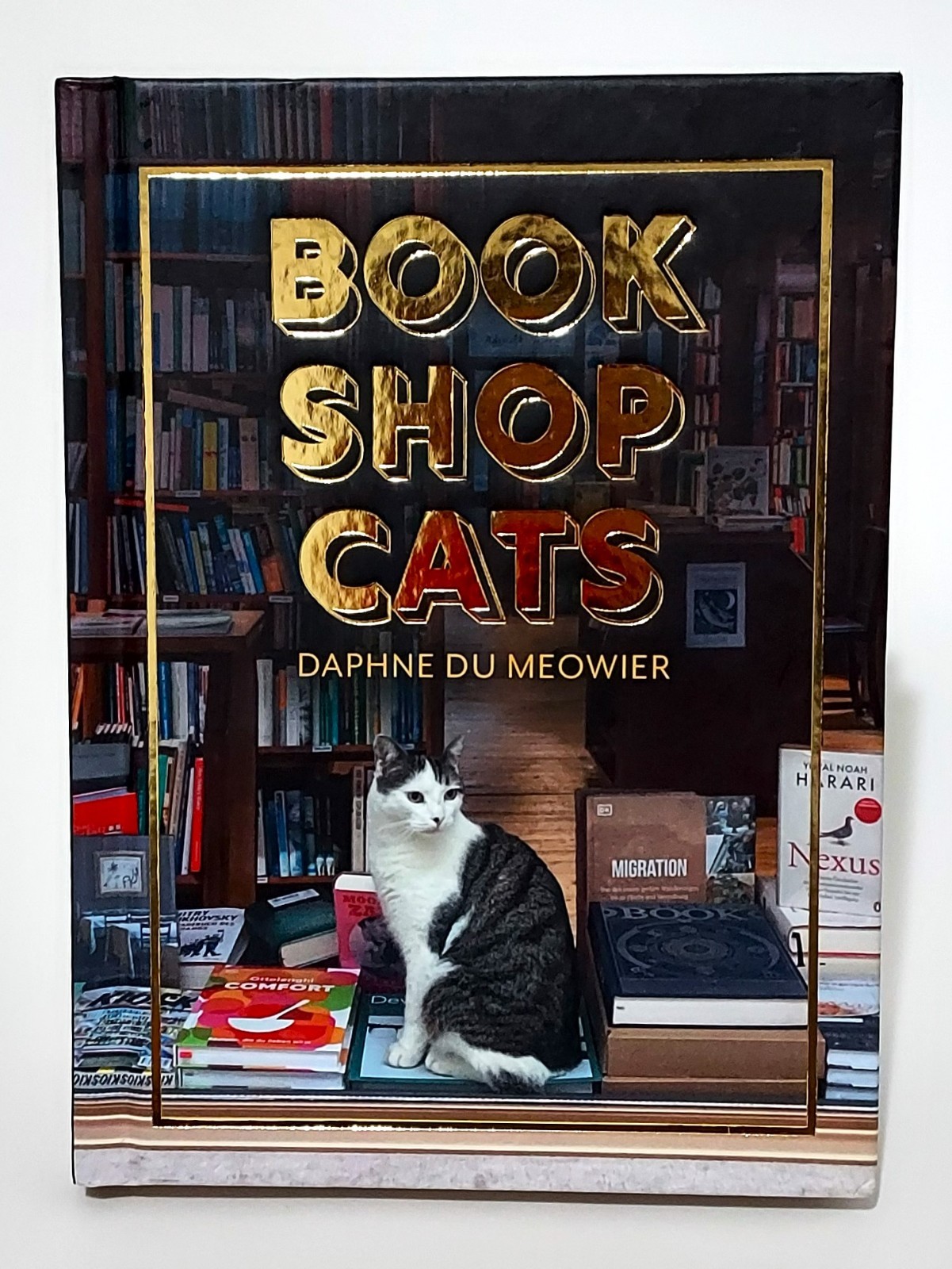 Bookshop Cats by Daphne du Maurier Hardcover Book Like New Literary Collection