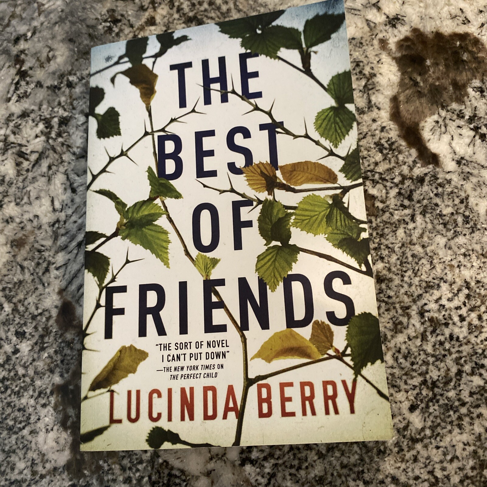 Best of Friends by Lucinda Berry (2020, Trade Paperback)