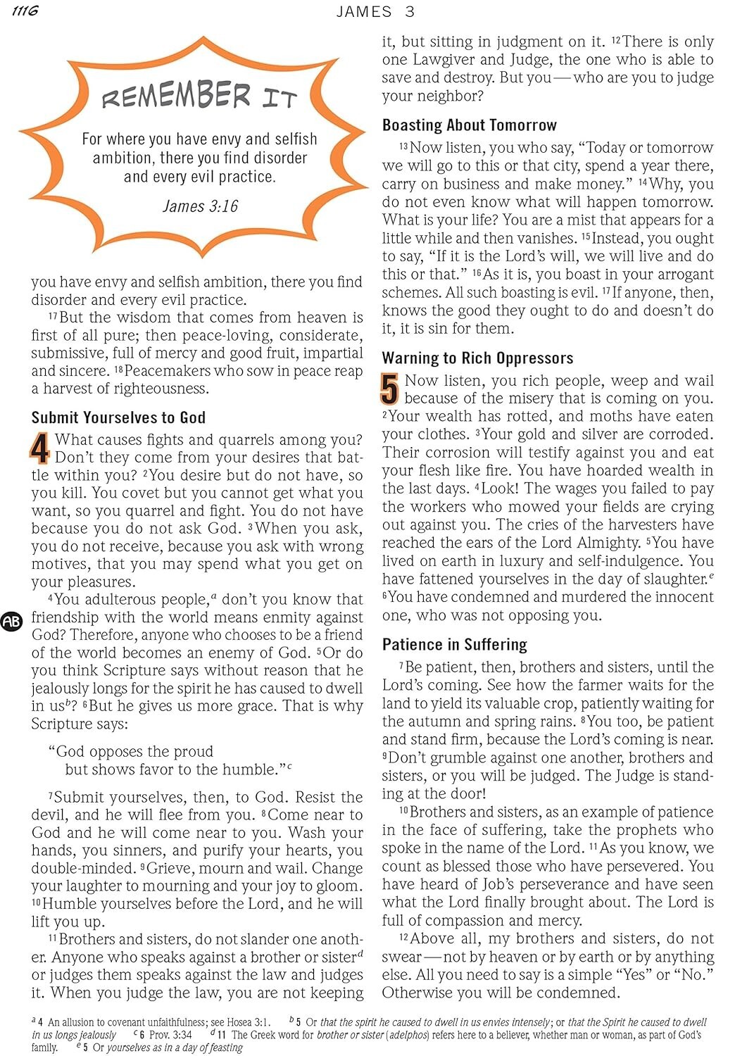 The NIV Action Study Bible – Premium Edition by Sergio Cariello / David C. Cook
