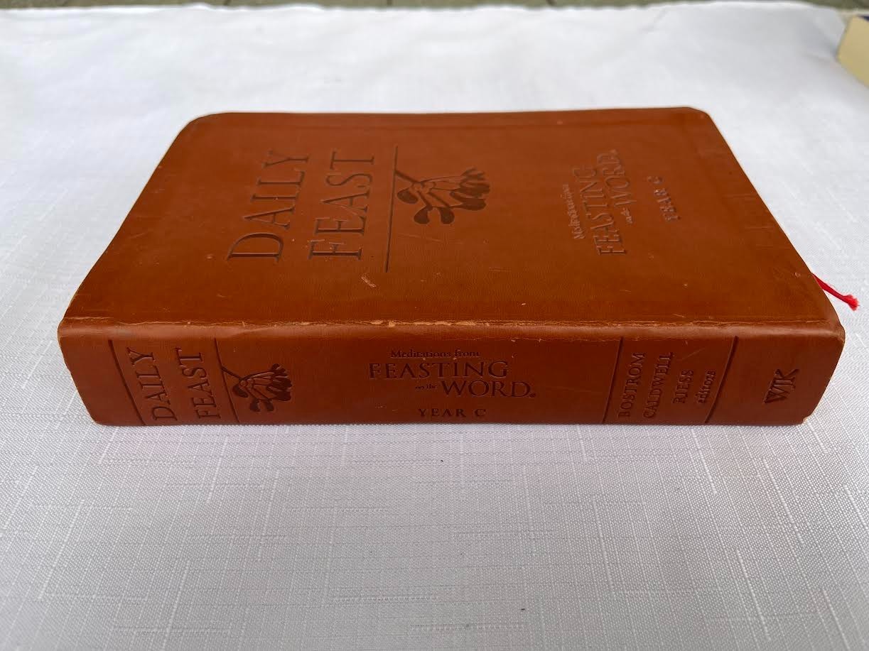 Daily Feast : Meditations from Feasting on the Word (Years A, B and C together)