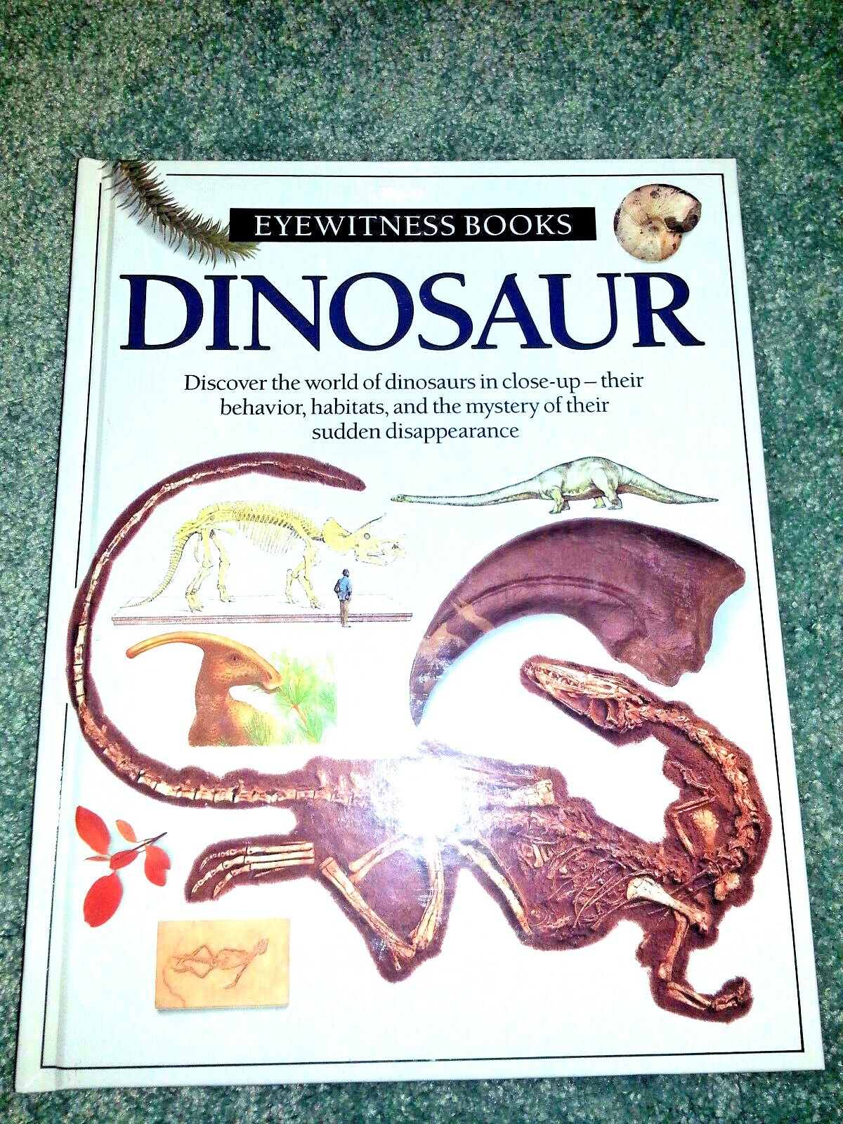 DINOSAUR EYEWITNESS BOOK HARDCOVER Homeschool BEHAVIOR HABITAT DISAPPEARANCE New