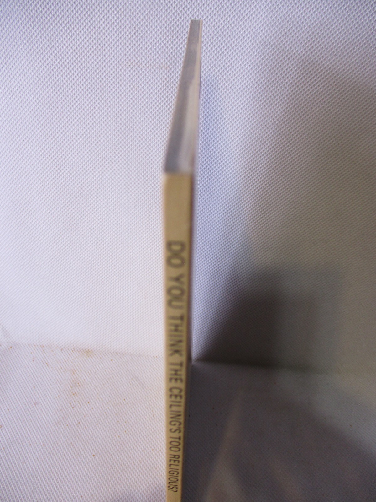 Do You Think The Ceiling’s Too Religious? Paul Taylor 1979 SC Book Price Stern