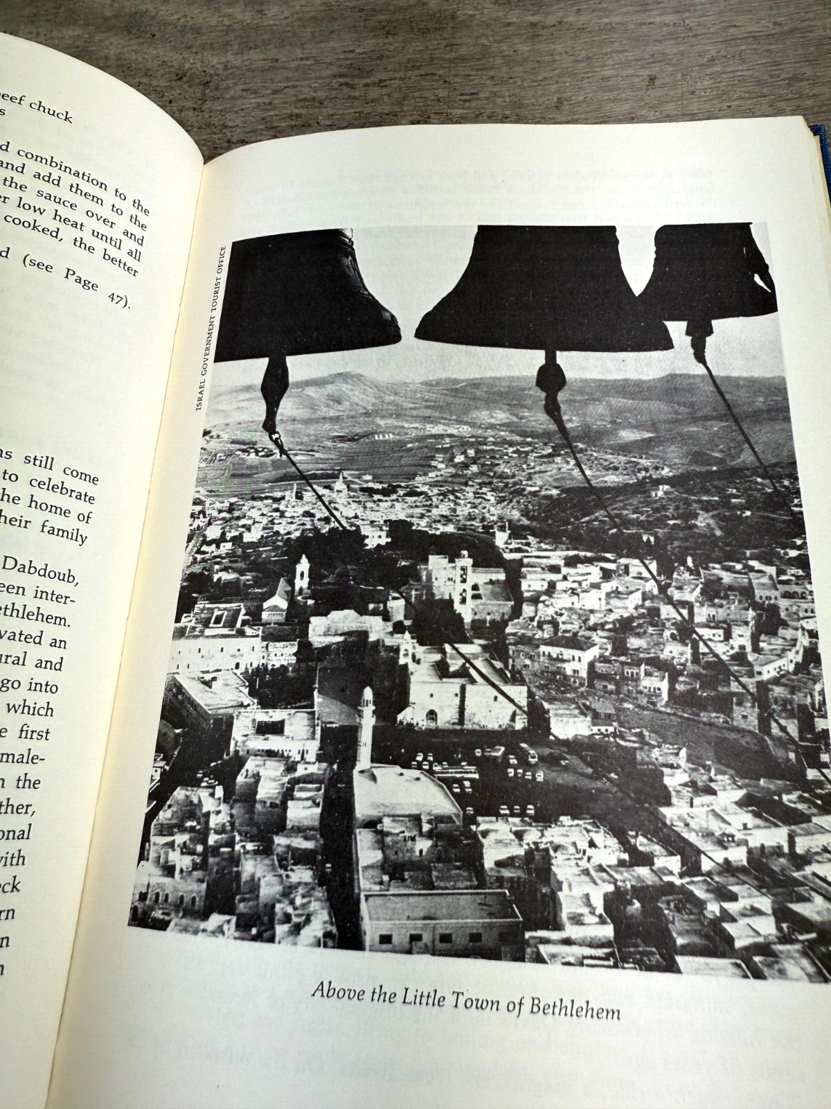 The Flavor of Jerusalem by Joan Nathan and Judy Stacey Goldman First edition