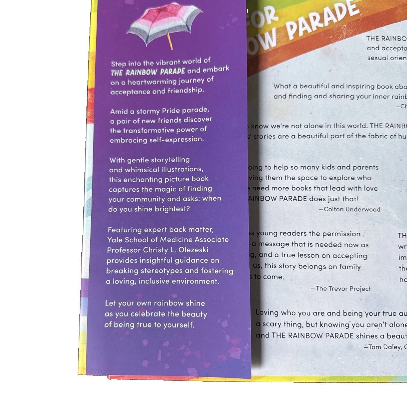 Rainbow Parade LGBTQIA+ Identities & Allies Shane Jordan HC New