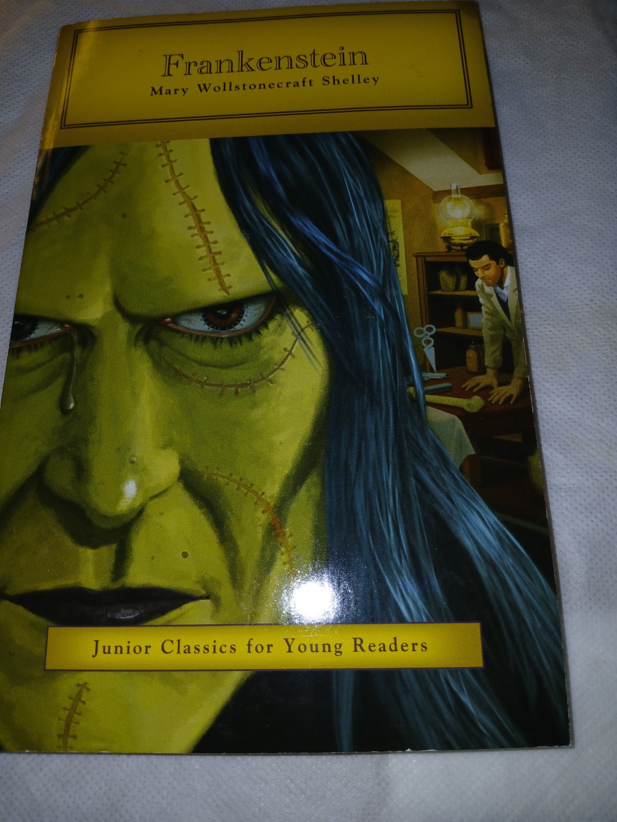 Dalmatian Press Frankenstein PB Junior Classics Adapted Illustrated Ages 7+ 2012