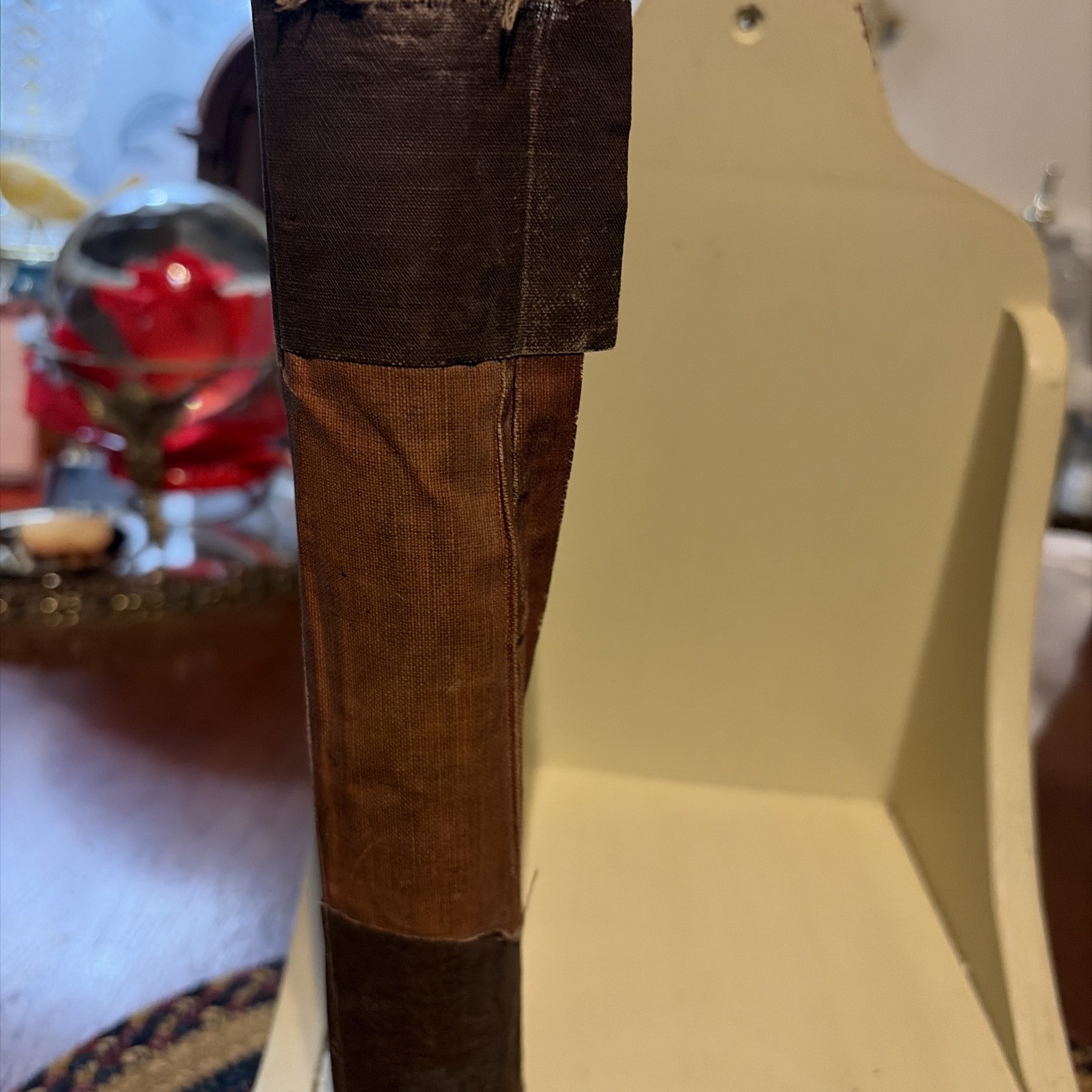 A family flight through France, Germany, Norway and Switzerland 1881 edition!