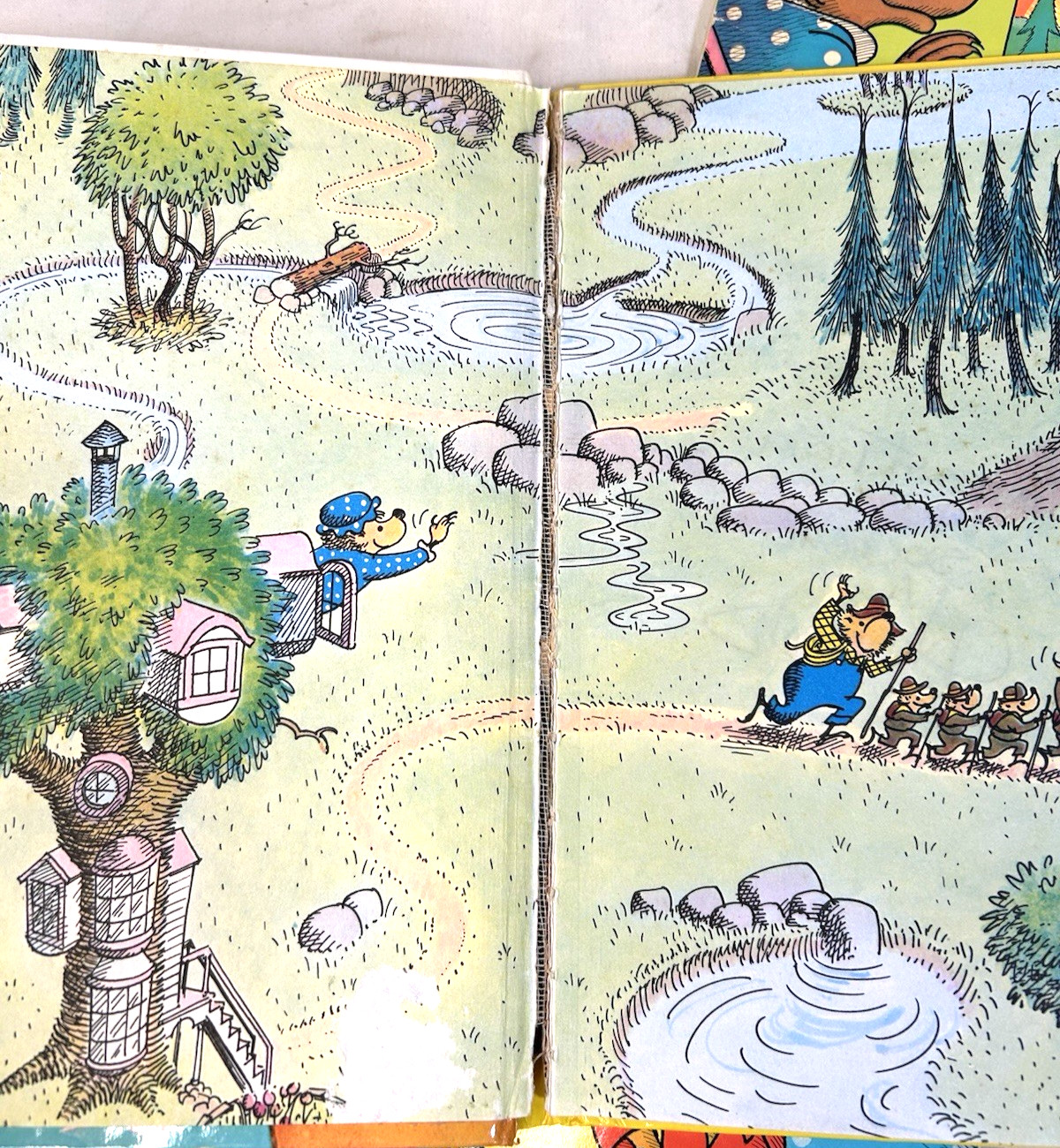11 Berenstain Bears Books. 2 are Double Books. Jan & Mike Berenstain
