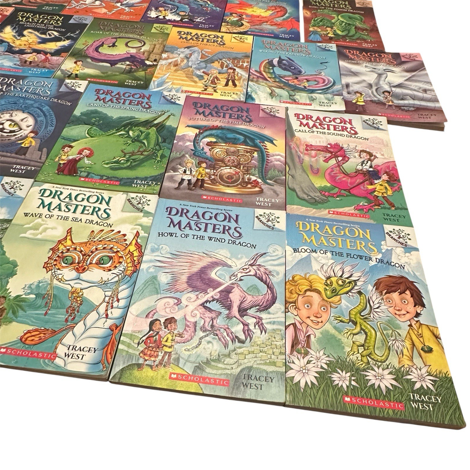 Dragon Masters Books 1–21 Book Lot Tracy West Scholastic PB Set