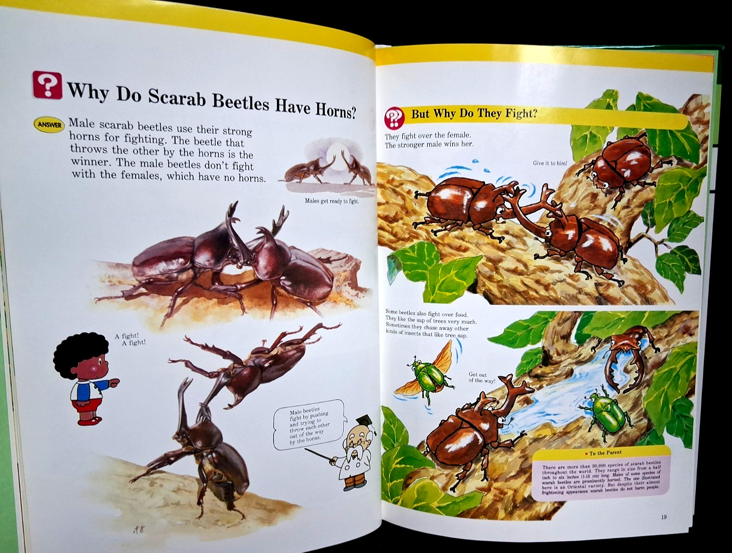 Lot of 3 A Child’s First Library of Learning Famous Places, Insects, Sky & Earth