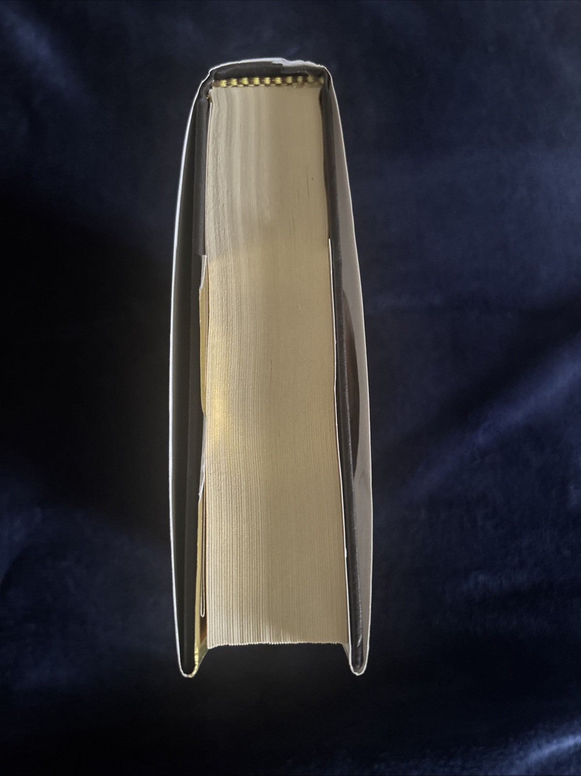 Portrait of an Unknown Woman: A Novel; Gabr- 0062834851, Daniel Silva, hardcover