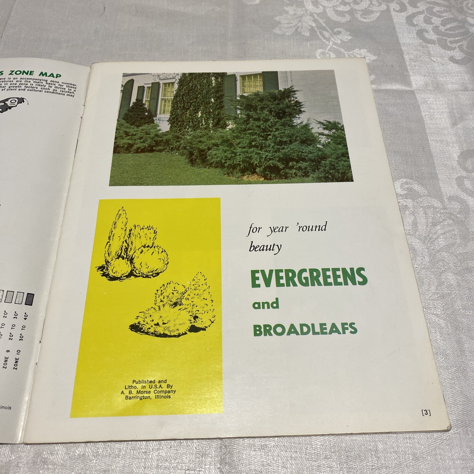 Evergreens By Countryside Books 1976 Paperback