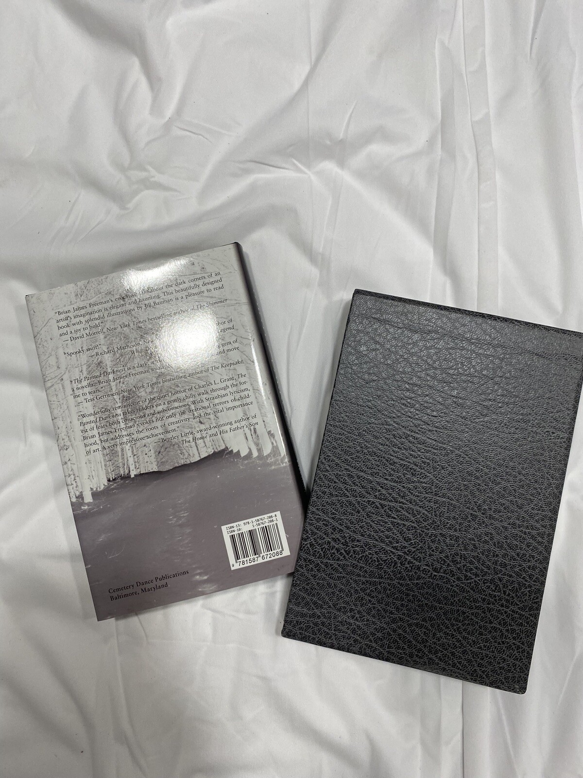 The Painted Darkness by Brian Freeman, SIGNED Limited Edition, HCDJ in Slipcase
