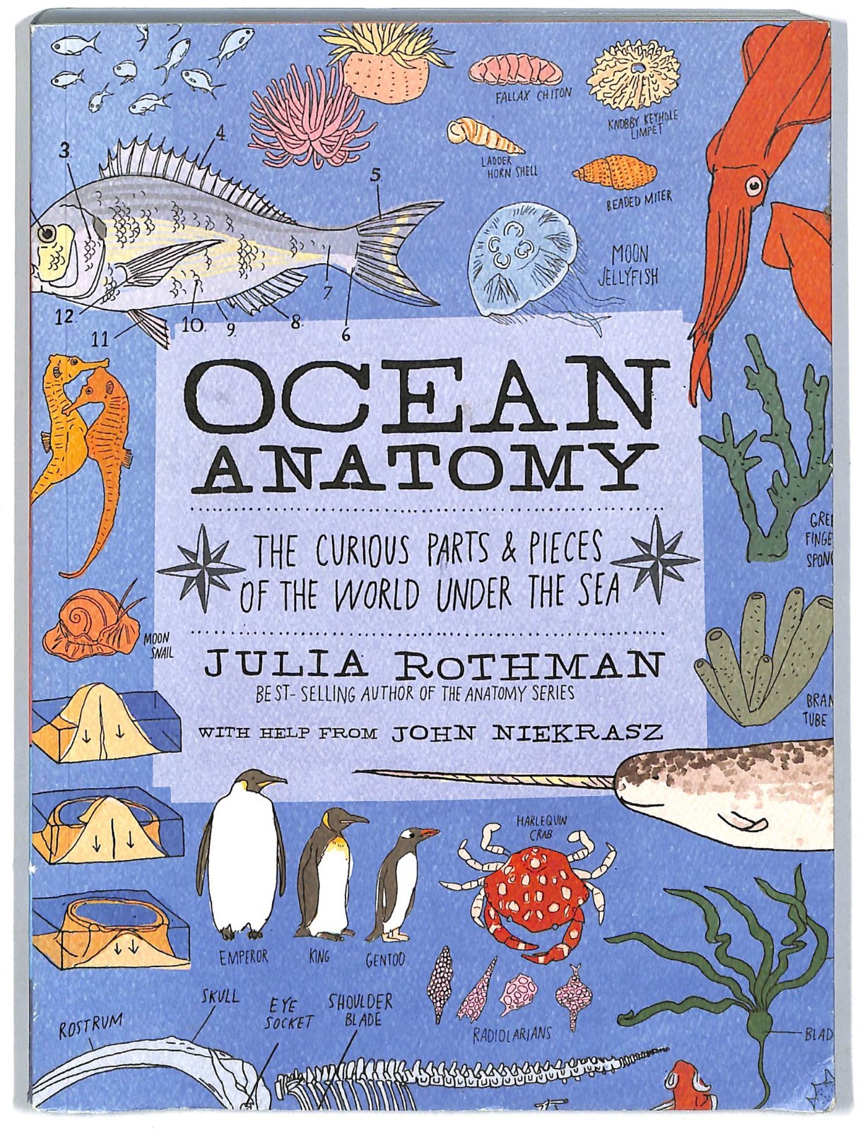 Ocean Anatomy: The Curious Parts & Pieces of the World under the Sea