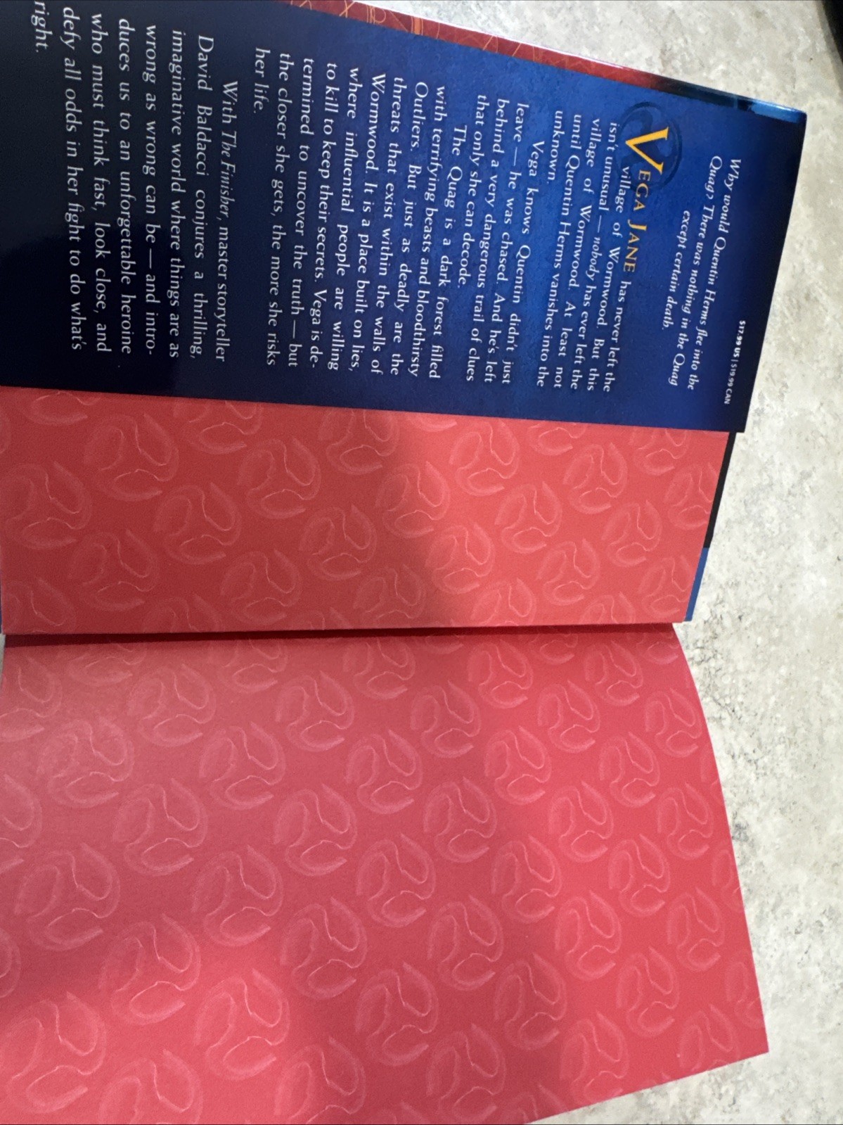 THE FINISHER: THEY DON’T WANT YOU TO KNOW THE TRUTH HARDCOVER First Edition