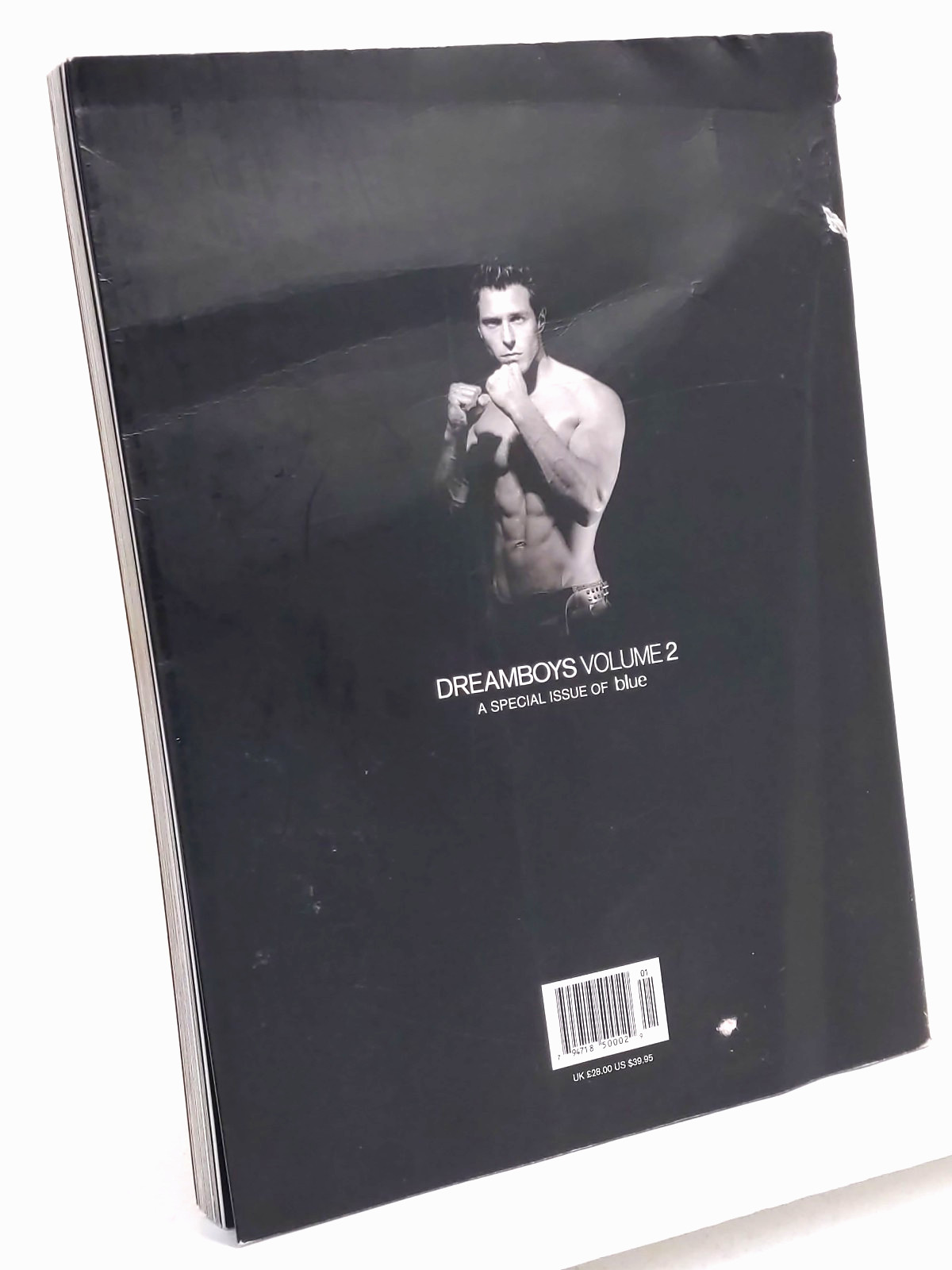 Dreamboys Volume 2 A Special Issue of Blue