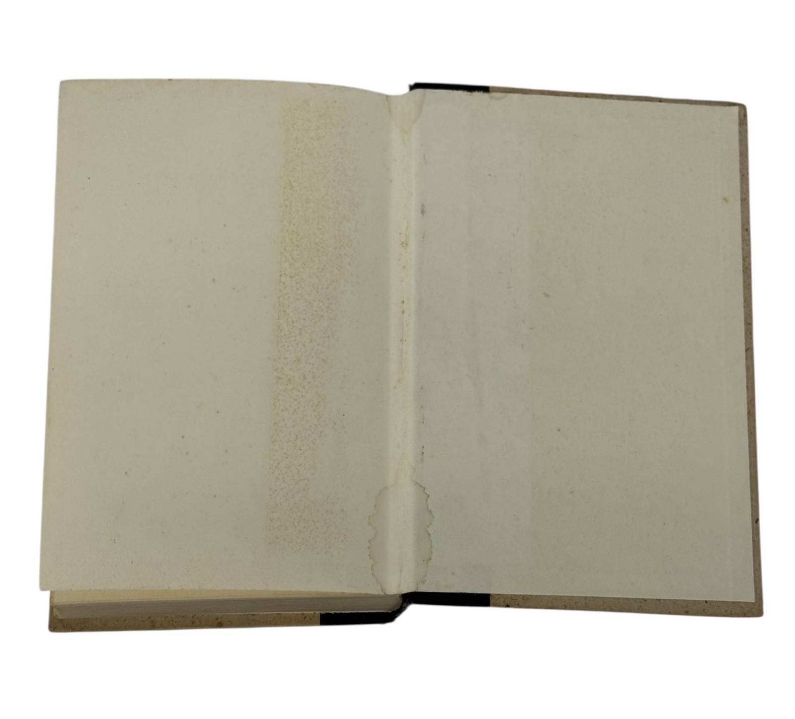 Salem’s Lot by Stephen King Doubleday Hardcover NO Dust Jacket Gutter Code 02S