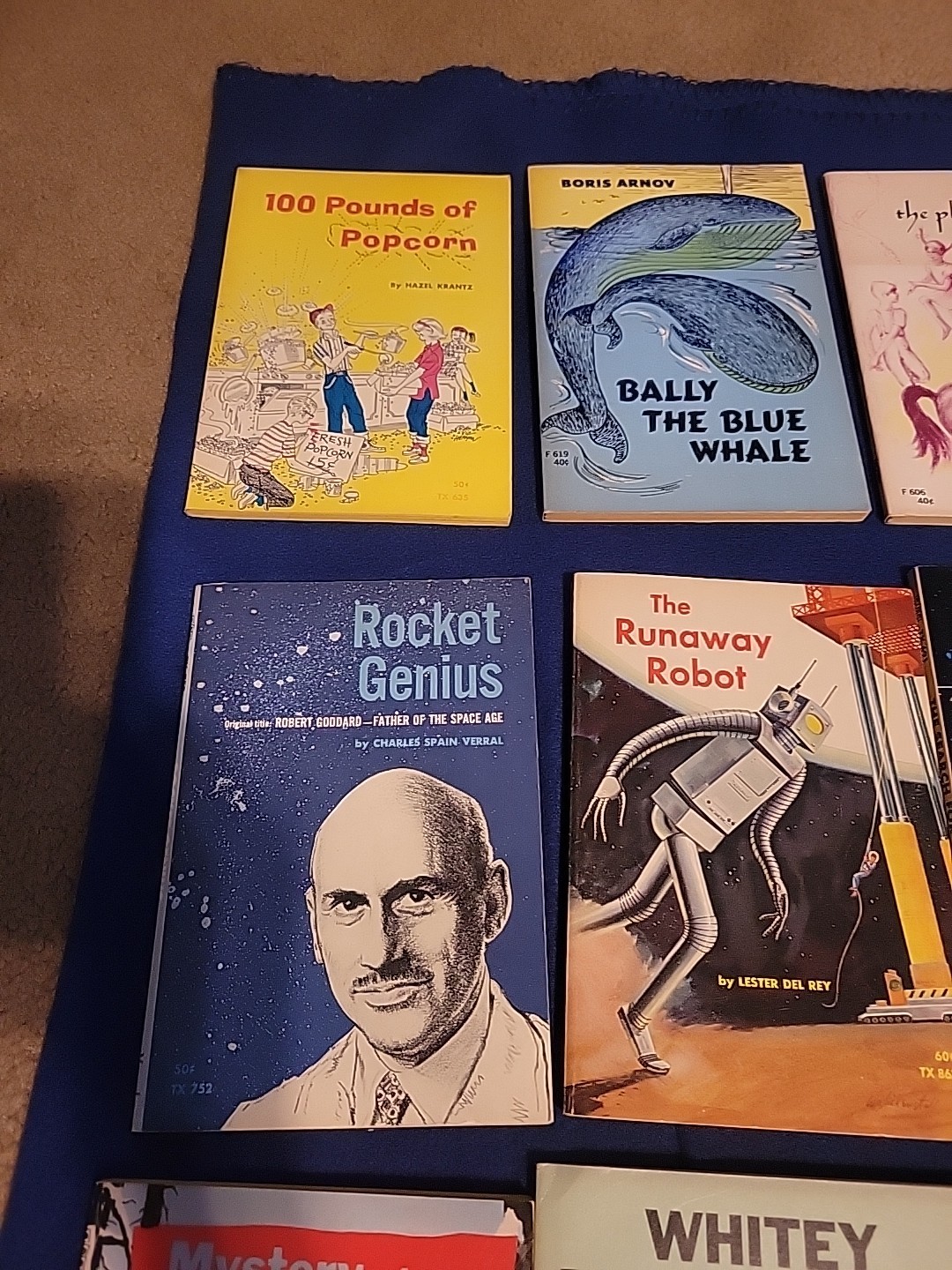 Vintage Young Readers Press ,scholastic And Others Pb Books