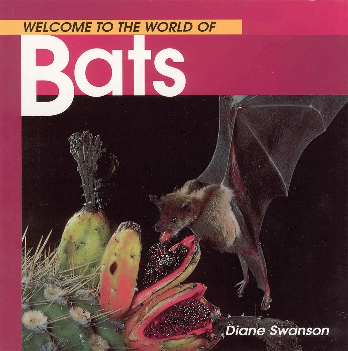 Welcome to the World of Bats (Welcome to the World Series) – paperback Swans…