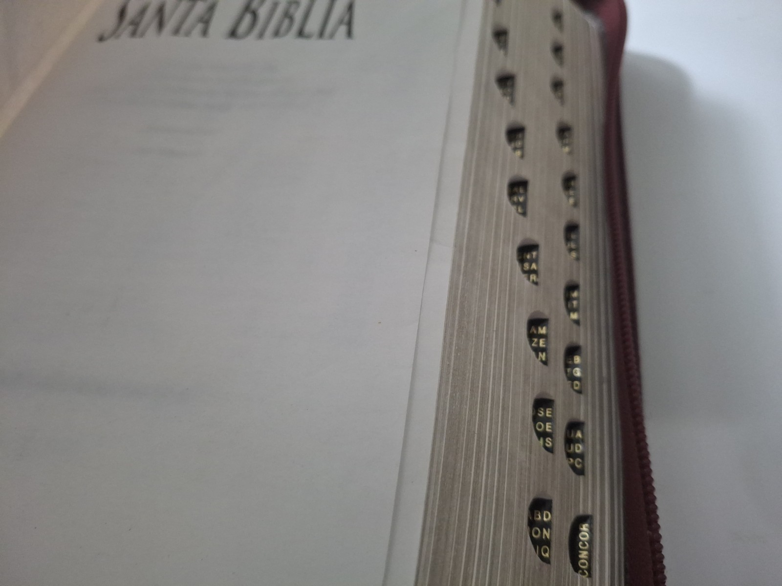 Santa Biblia Bilingual Bible RVR 1960/KJV Burgundy Imitation Leather (Spanish)