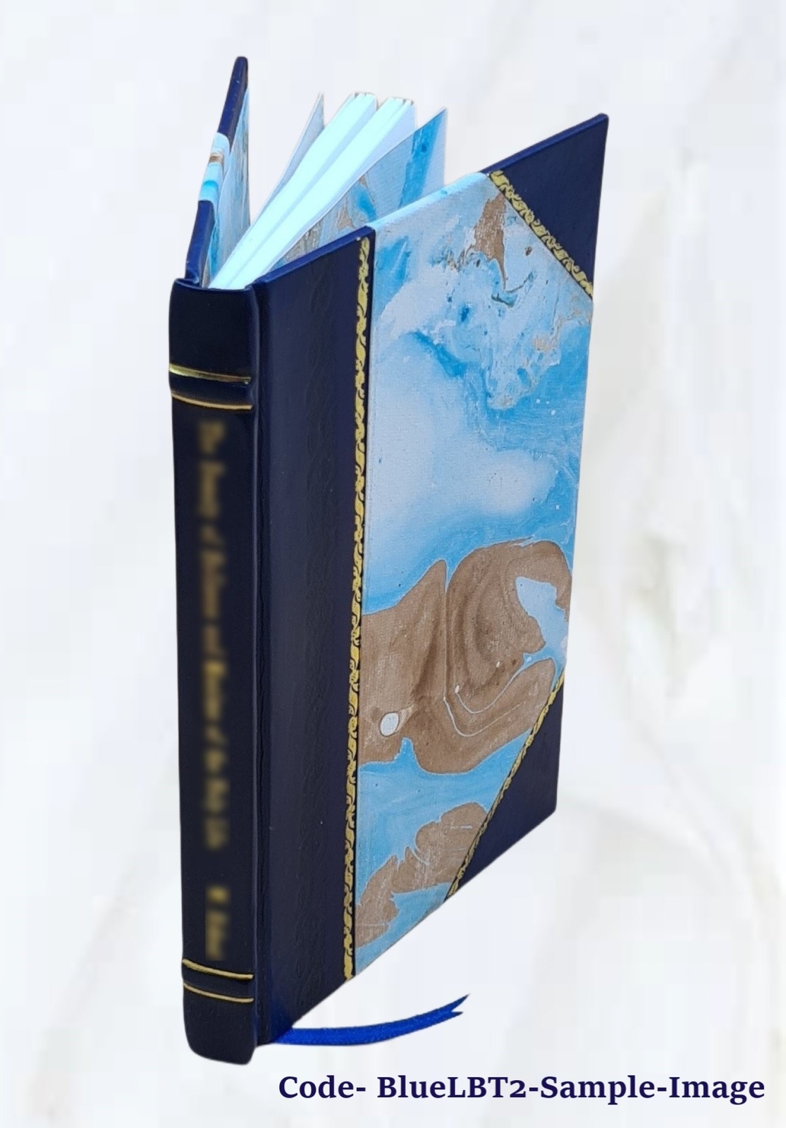 Family Register Of Gerret Van Sweringen And Descendants 1906 [Leather Bound]