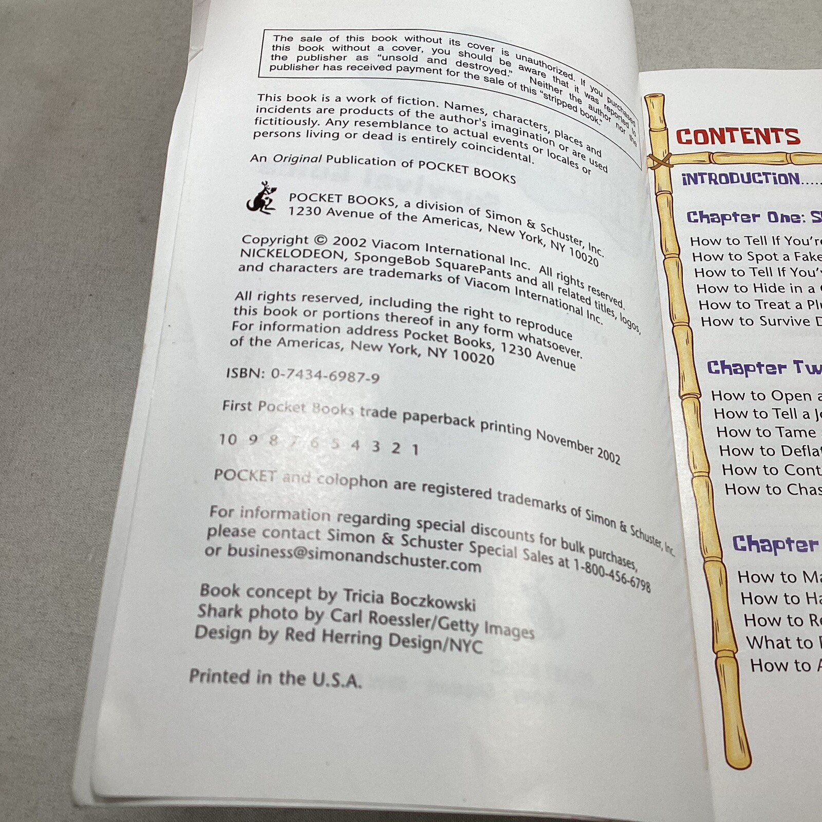 SpongeBob SquarePants Survival Guide! VTG 2002 Novel By David Lewman