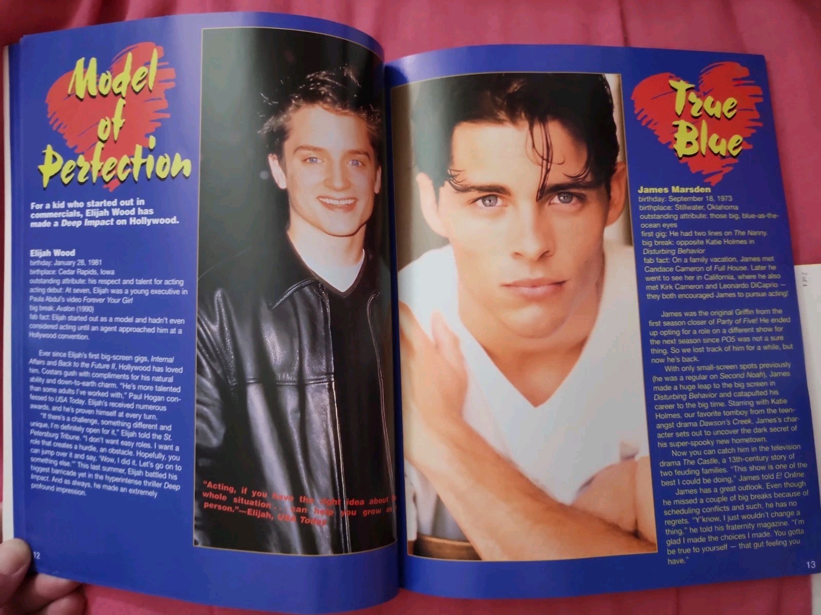 Boys We Love by Inc. Staff Scholastic (1998, Trade Paperback)