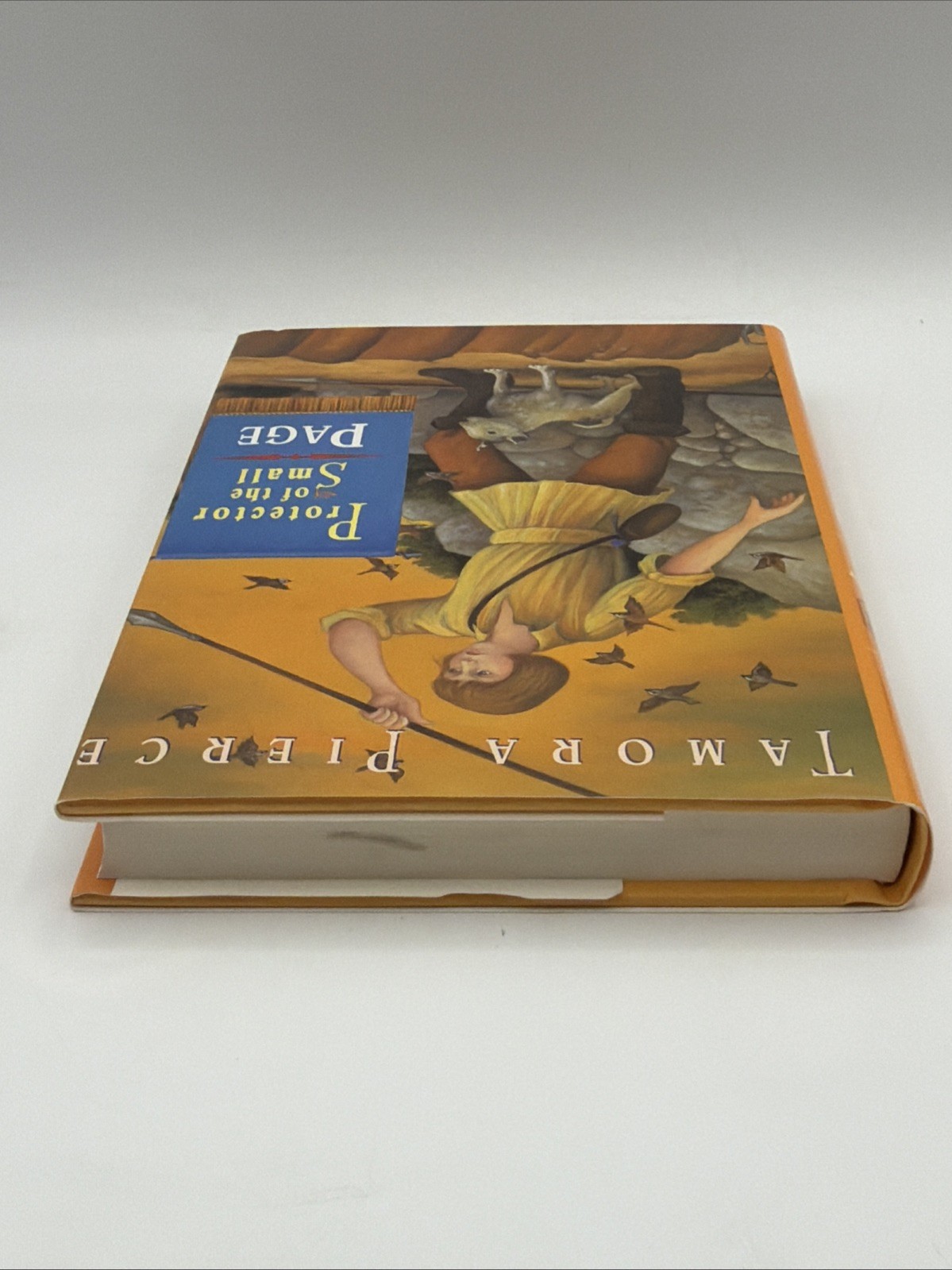 Protector of the Small Page Book 2 Hardcover By Tamora Pierce Random House Books