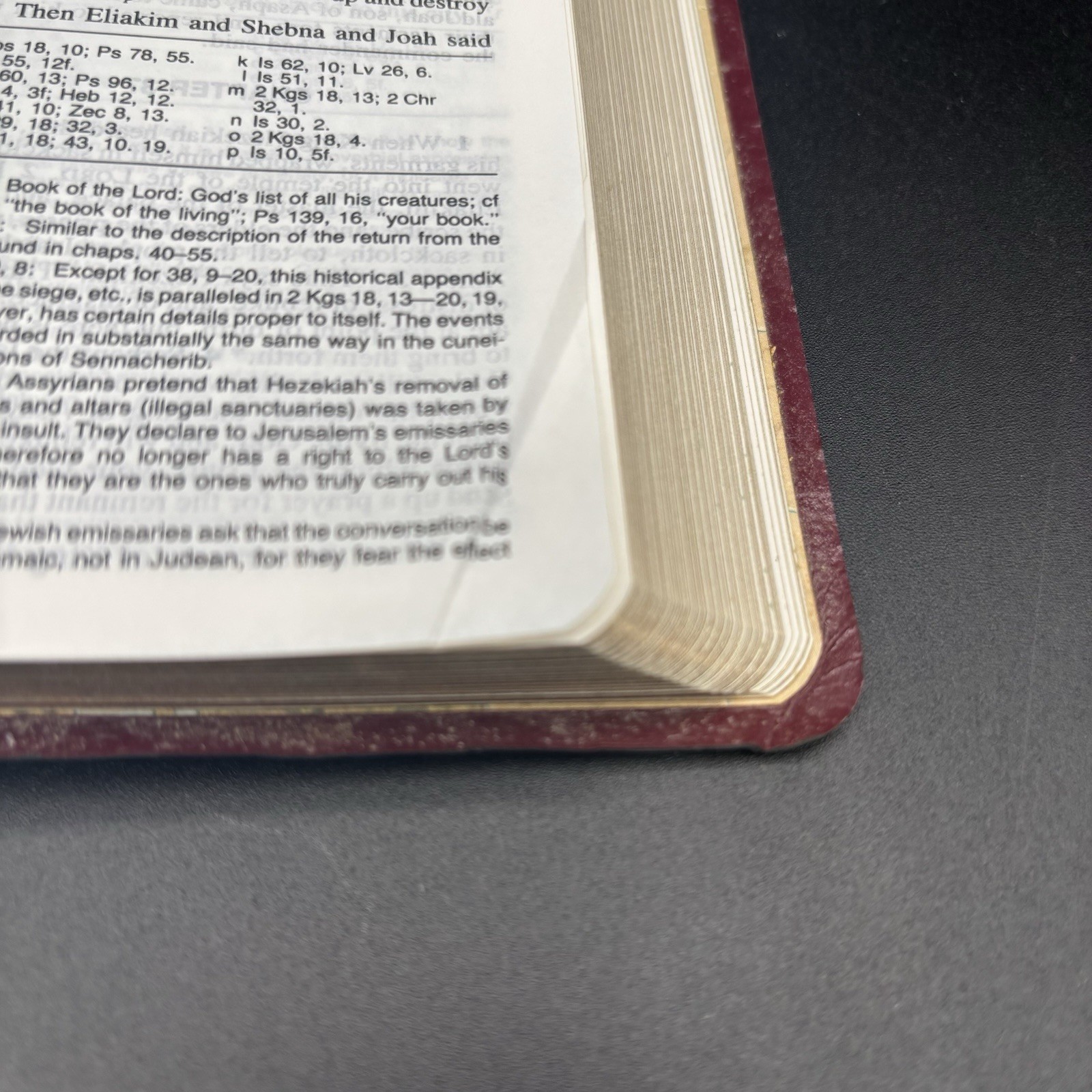 New American Bible Official Catholic Red Letter Edition World Press 2402BG 2000