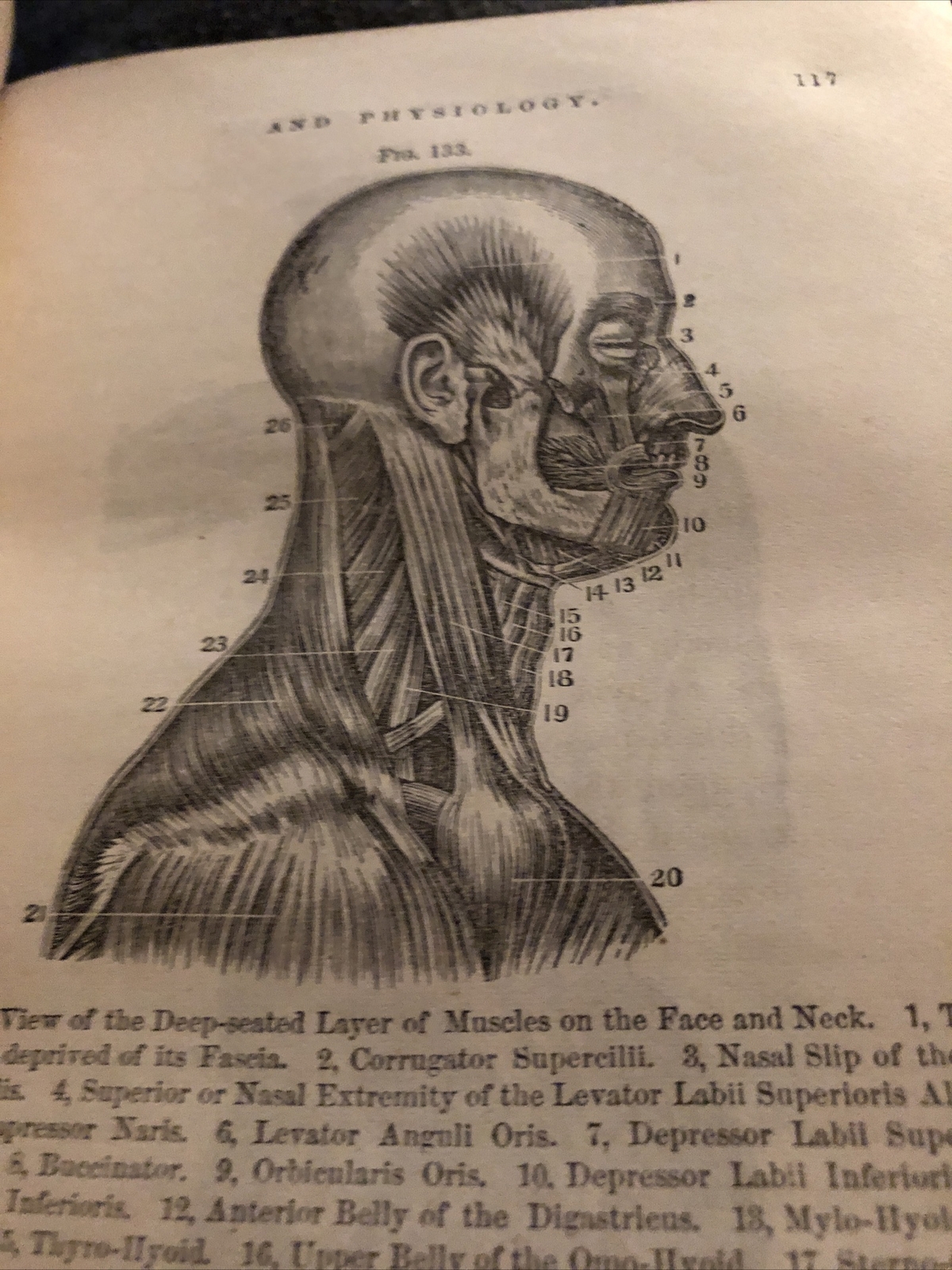 1875 Elementary Anatomy by Hitchcock black Hardback illust. 435 Pages w/index