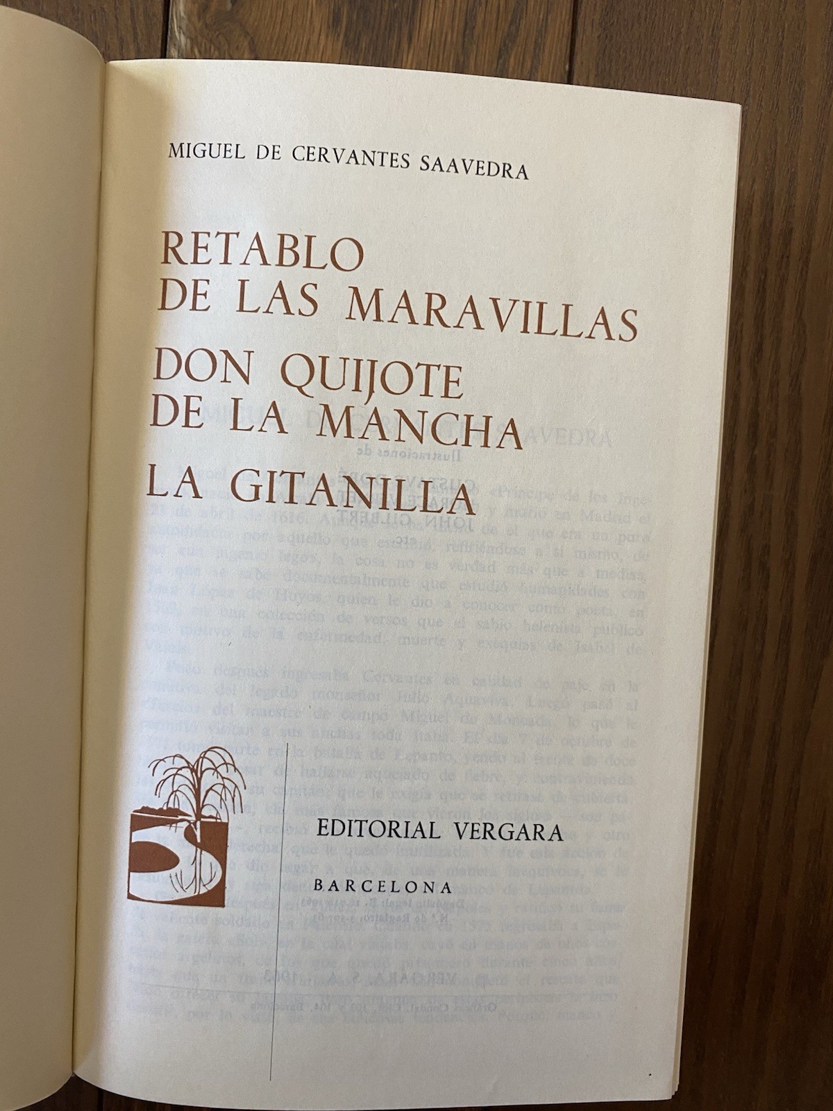 Obras de Miguel de Cervantes 1963 Spanish Illustrated Doré Slipcase