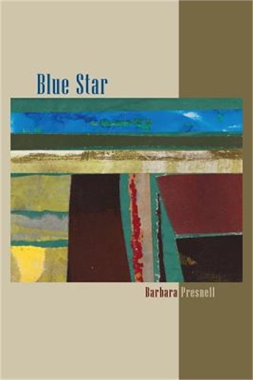 Blue Star (Paperback or Softback)