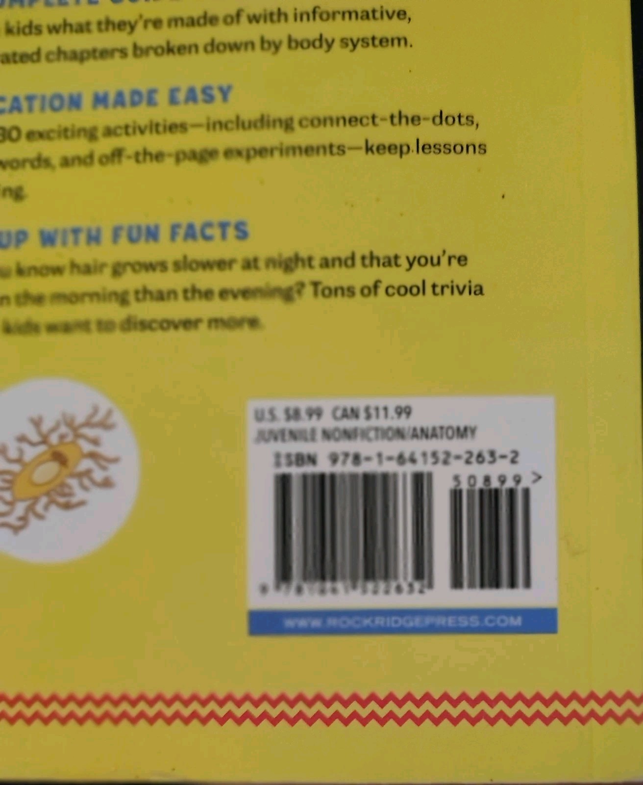 Human Body Activity Book for Kids : Hands-On Fun for Grades K-3 by Katie Stokes