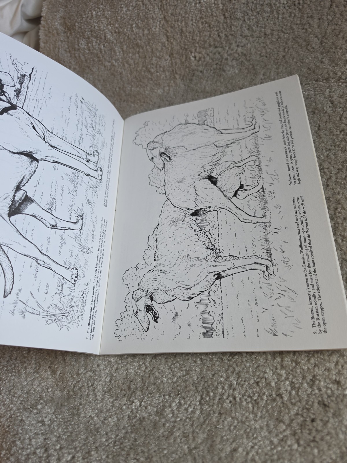 Vintage Lot Of 4 Coloring Books. Dover Publications. Houghton Mifflin Company