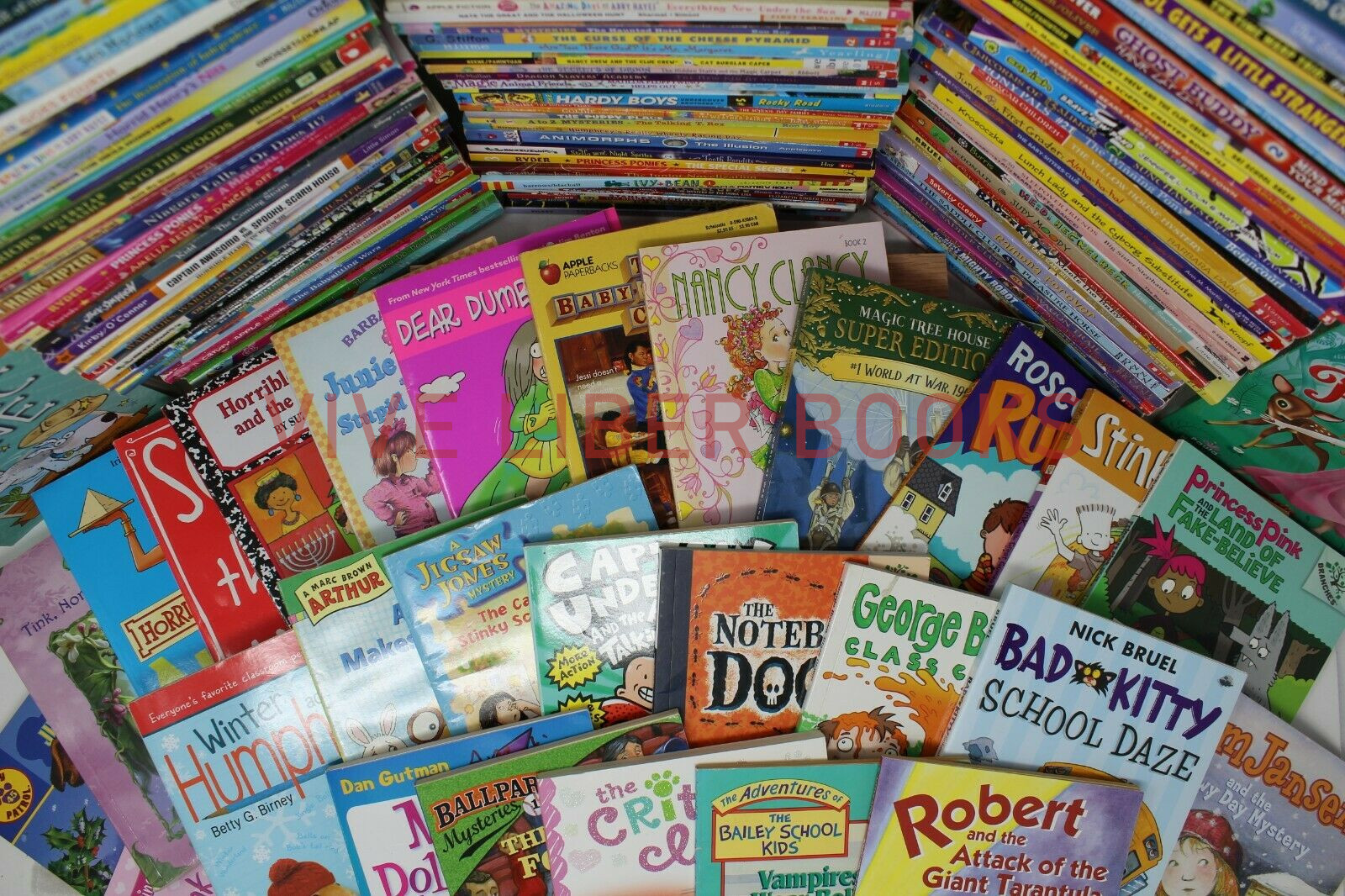 Bulk/Huge Lot of 300 of Children’s Kids Chapter Books – Random – Free Shipping!