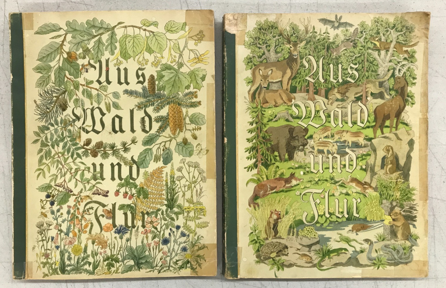 Aus Wald Und Flur – Two German Books 1937/1938 Plants and Animals, Set of 2 E-77