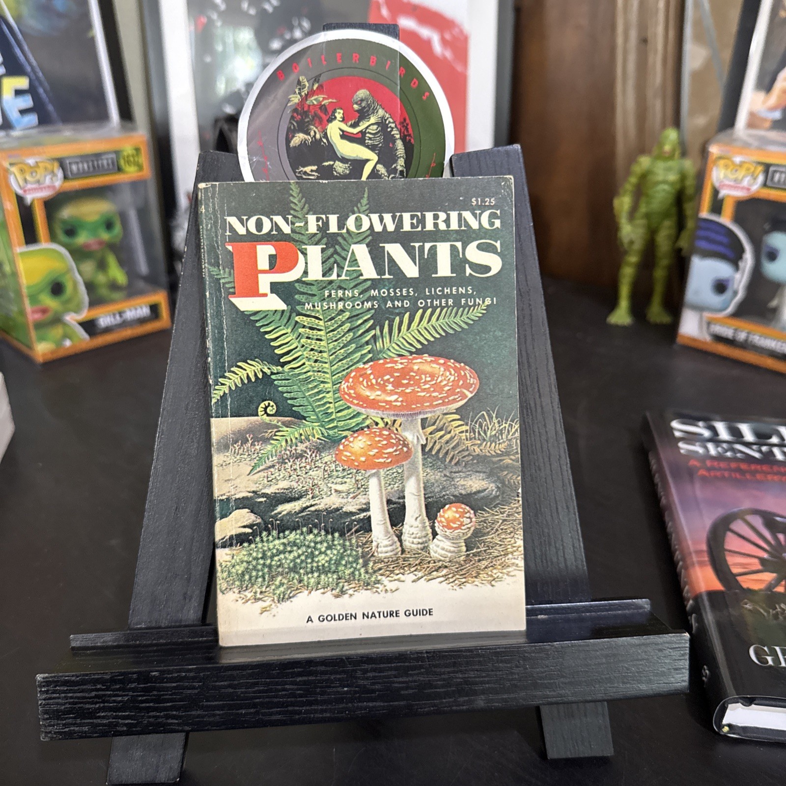 Vintage NON-FLOWERING PLANTS A Golden Nature Guide 1967 Shuttleworth Zim PB VG
