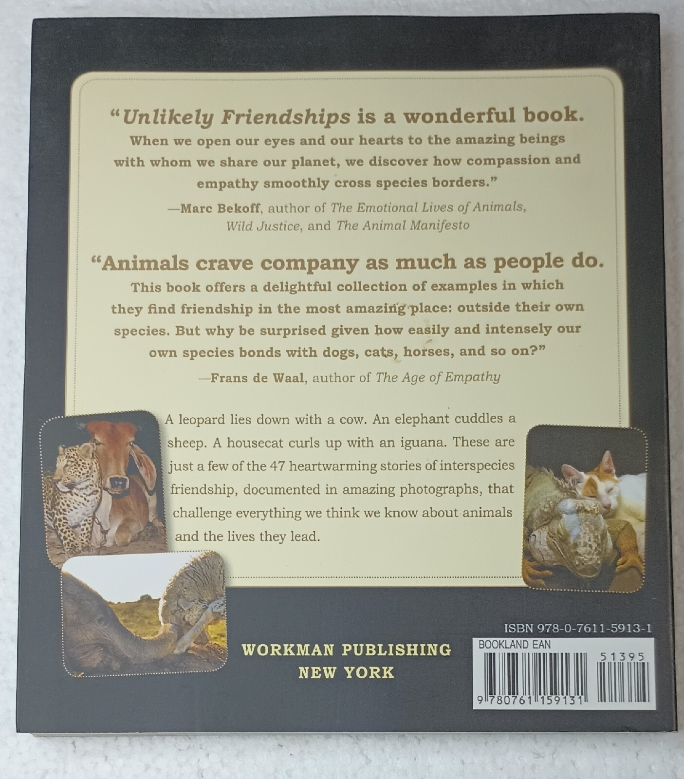 Unlikely Friendships Paperback Book Jennifer Holland Animals Relationships 2011